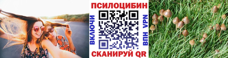 Галлюциногенные грибы GOLDEN TEACHER цены Городище
