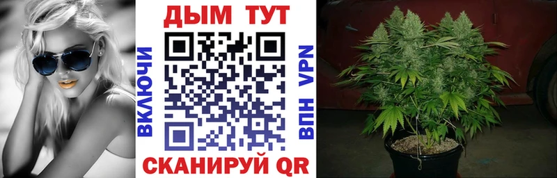 Бошки Шишки планчик  Городище 